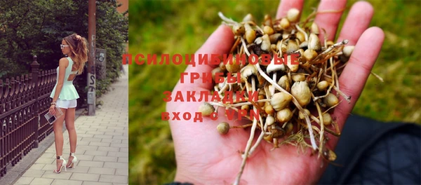 молекула духа Абаза